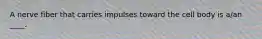 A nerve fiber that carries impulses toward the cell body is a/an ____.