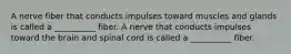 A nerve fiber that conducts impulses toward muscles and glands is called a __________ fiber. A nerve that conducts impulses toward the brain and spinal cord is called a __________ fiber.