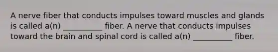 A nerve fiber that conducts impulses toward muscles and glands is called a(n) __________ fiber. A nerve that conducts impulses toward the brain and spinal cord is called a(n) __________ fiber.