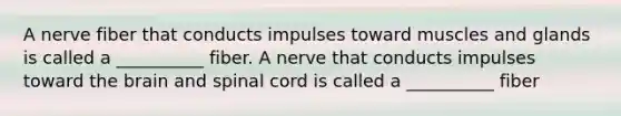 A nerve fiber that conducts impulses toward muscles and glands is called a __________ fiber. A nerve that conducts impulses toward the brain and spinal cord is called a __________ fiber