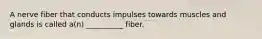 A nerve fiber that conducts impulses towards muscles and glands is called a(n) __________ fiber.