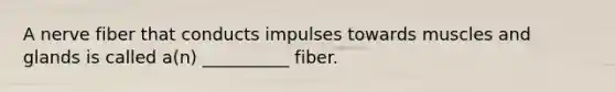 A nerve fiber that conducts impulses towards muscles and glands is called a(n) __________ fiber.