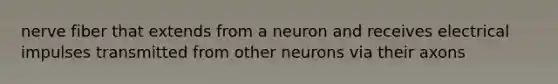 nerve fiber that extends from a neuron and receives electrical impulses transmitted from other neurons via their axons