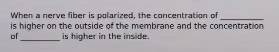 When a nerve fiber is polarized, the concentration of ___________ is higher on the outside of the membrane and the concentration of __________ is higher in the inside.