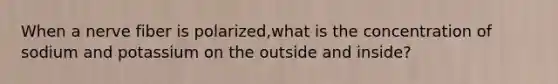 When a nerve fiber is polarized,what is the concentration of sodium and potassium on the outside and inside?