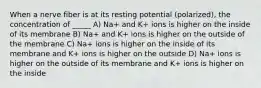 When a nerve fiber is at its resting potential (polarized), the concentration of _____ A) Na+ and K+ ions is higher on the inside of its membrane B) Na+ and K+ ions is higher on the outside of the membrane C) Na+ ions is higher on the inside of its membrane and K+ ions is higher on the outside D) Na+ ions is higher on the outside of its membrane and K+ ions is higher on the inside