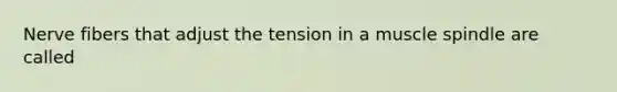 Nerve fibers that adjust the tension in a muscle spindle are called