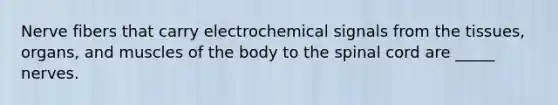 Nerve fibers that carry electrochemical signals from the tissues, organs, and muscles of the body to <a href='https://www.questionai.com/knowledge/kkAfzcJHuZ-the-spinal-cord' class='anchor-knowledge'>the spinal cord</a> are _____ nerves.