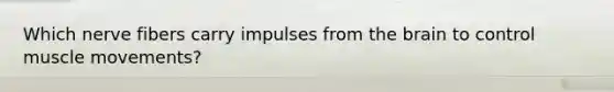 Which nerve fibers carry impulses from the brain to control muscle movements?