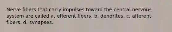 Nerve fibers that carry impulses toward the central nervous system are called a. efferent fibers. b. dendrites. c. afferent fibers. d. synapses.