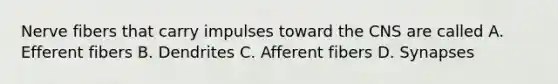 Nerve fibers that carry impulses toward the CNS are called A. Efferent fibers B. Dendrites C. Afferent fibers D. Synapses