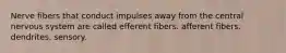 Nerve fibers that conduct impulses away from the central nervous system are called efferent fibers. afferent fibers. dendrites. sensory.