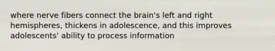 where nerve fibers connect the brain's left and right hemispheres, thickens in adolescence, and this improves adolescents' ability to process information