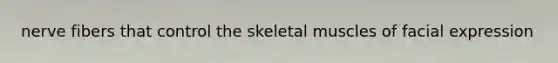 nerve fibers that control the skeletal muscles of facial expression