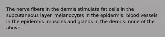 The nerve fibers in <a href='https://www.questionai.com/knowledge/kEsXbG6AwS-the-dermis' class='anchor-knowledge'>the dermis</a> stimulate fat cells in the subcutaneous layer. melanocytes in <a href='https://www.questionai.com/knowledge/kBFgQMpq6s-the-epidermis' class='anchor-knowledge'>the epidermis</a>. <a href='https://www.questionai.com/knowledge/kZJ3mNKN7P-blood-vessels' class='anchor-knowledge'>blood vessels</a> in the epidermis. muscles and glands in the dermis. none of the above.