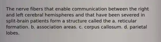 The nerve fibers that enable communication between the right and left cerebral hemispheres and that have been severed in split-brain patients form a structure called the a. reticular formation. b. association areas. c. corpus callosum. d. parietal lobes.