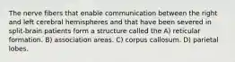 The nerve fibers that enable communication between the right and left cerebral hemispheres and that have been severed in split-brain patients form a structure called the A) reticular formation. B) association areas. C) corpus callosum. D) parietal lobes.