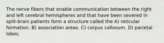 The nerve fibers that enable communication between the right and left cerebral hemispheres and that have been severed in split-brain patients form a structure called the A) reticular formation. B) association areas. C) corpus callosum. D) parietal lobes.