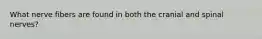 What nerve fibers are found in both the cranial and spinal nerves?