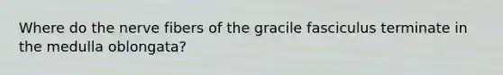 Where do the nerve fibers of the gracile fasciculus terminate in the medulla oblongata?