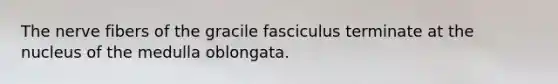 The nerve fibers of the gracile fasciculus terminate at the nucleus of the medulla oblongata.