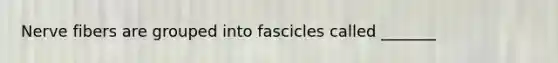 Nerve fibers are grouped into fascicles called _______