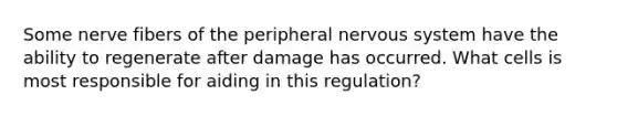 Some nerve fibers of the peripheral nervous system have the ability to regenerate after damage has occurred. What cells is most responsible for aiding in this regulation?