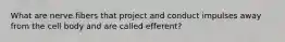 What are nerve fibers that project and conduct impulses away from the cell body and are called efferent?