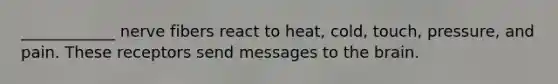 ____________ nerve fibers react to heat, cold, touch, pressure, and pain. These receptors send messages to the brain.