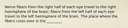 Nerve fibers from the right half of each eye travel to the right hemisphere of the brain; fibers from the left half of each eye travel to the left hemisphere of the brain. The place where the fibers cross over is the ________.