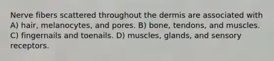 Nerve fibers scattered throughout the dermis are associated with A) hair, melanocytes, and pores. B) bone, tendons, and muscles. C) fingernails and toenails. D) muscles, glands, and sensory receptors.