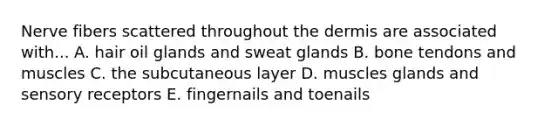 Nerve fibers scattered throughout the dermis are associated with... A. hair oil glands and sweat glands B. bone tendons and muscles C. the subcutaneous layer D. muscles glands and sensory receptors E. fingernails and toenails