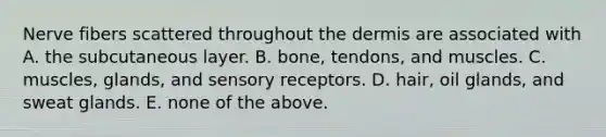 Nerve fibers scattered throughout <a href='https://www.questionai.com/knowledge/kEsXbG6AwS-the-dermis' class='anchor-knowledge'>the dermis</a> are associated with A. the subcutaneous layer. B. bone, tendons, and muscles. C. muscles, glands, and sensory receptors. D. hair, oil glands, and sweat glands. E. none of the above.