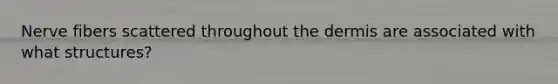 Nerve fibers scattered throughout the dermis are associated with what structures?