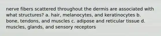 nerve fibers scattered throughout the dermis are associated with what structures? a. hair, melanocytes, and keratinocytes b. bone, tendons, and muscles c. adipose and reticular tissue d. muscles, glands, and sensory receptors