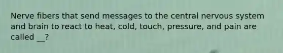 Nerve fibers that send messages to the central <a href='https://www.questionai.com/knowledge/kThdVqrsqy-nervous-system' class='anchor-knowledge'>nervous system</a> and brain to react to heat, cold, touch, pressure, and pain are called __?