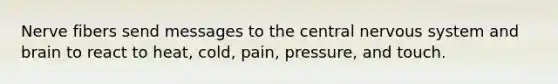 Nerve fibers send messages to the central nervous system and brain to react to heat, cold, pain, pressure, and touch.