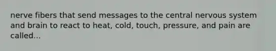 nerve fibers that send messages to the central nervous system and brain to react to heat, cold, touch, pressure, and pain are called...