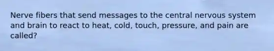 Nerve fibers that send messages to the central nervous system and brain to react to heat, cold, touch, pressure, and pain are called?