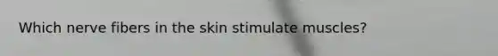 Which nerve fibers in the skin stimulate muscles?
