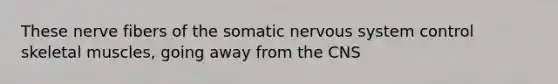 These nerve fibers of the somatic <a href='https://www.questionai.com/knowledge/kThdVqrsqy-nervous-system' class='anchor-knowledge'>nervous system</a> control skeletal muscles, going away from the CNS