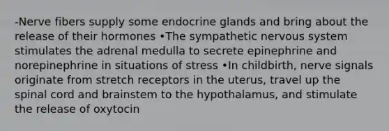 -Nerve fibers supply some endocrine glands and bring about the release of their hormones •The sympathetic nervous system stimulates the adrenal medulla to secrete epinephrine and norepinephrine in situations of stress •In childbirth, nerve signals originate from stretch receptors in the uterus, travel up the spinal cord and brainstem to the hypothalamus, and stimulate the release of oxytocin