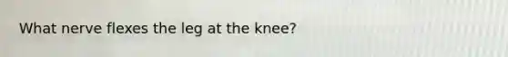 What nerve flexes the leg at the knee?