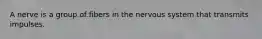 A nerve is a group of fibers in the nervous system that transmits impulses.