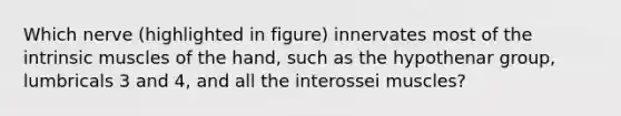 Which nerve (highlighted in figure) innervates most of the intrinsic muscles of the hand, such as the hypothenar group, lumbricals 3 and 4, and all the interossei muscles?