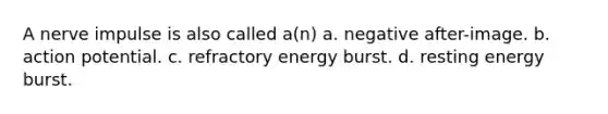 A nerve impulse is also called a(n) a. negative after-image. b. action potential. c. refractory energy burst. d. resting energy burst.