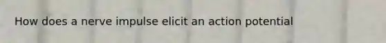 How does a nerve impulse elicit an action potential