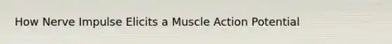 How Nerve Impulse Elicits a Muscle Action Potential