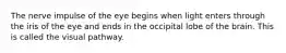 The nerve impulse of the eye begins when light enters through the iris of the eye and ends in the occipital lobe of the brain. This is called the visual pathway.