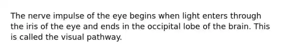 The nerve impulse of the eye begins when light enters through the iris of the eye and ends in the occipital lobe of the brain. This is called the visual pathway.